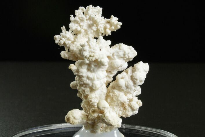 Intricate, Fluorescent Aragonite Formation - Nevada #350274